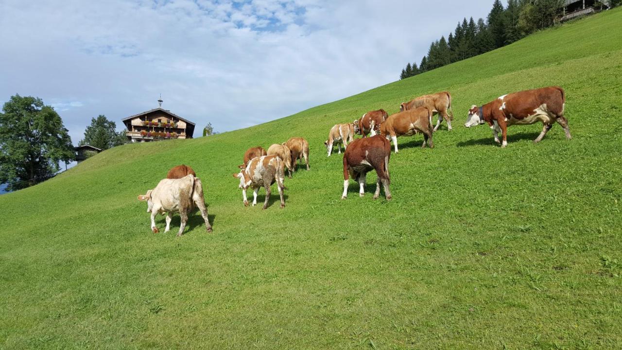Berggasthof Schatzbergalm Thierbach Eksteriør billede
